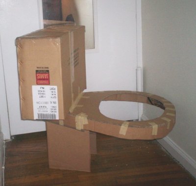 Cardboard toilet